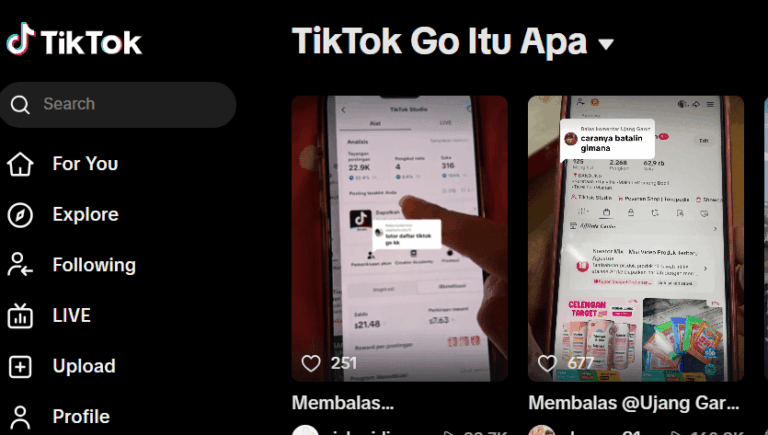 Apa Itu TikTok Go Fitur, Cara Kerja, dan Keuntungan Menggunakannya
